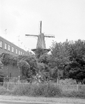 881101 Gezicht op de Molen Rijn en Zon (Adelaarstraat 30) te Utrecht, vanaf het Zwartwater, met links de achterzijden ...